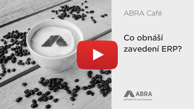 Co obnáší zavedení ERP?