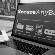 Nástroj pre bezpečnú správu prístupov a hesiel