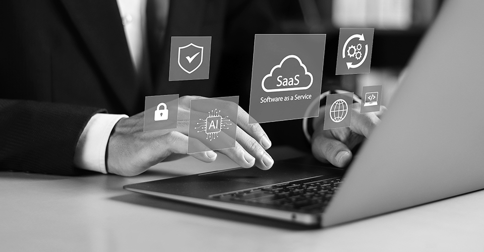 Software as a service (SaaS)